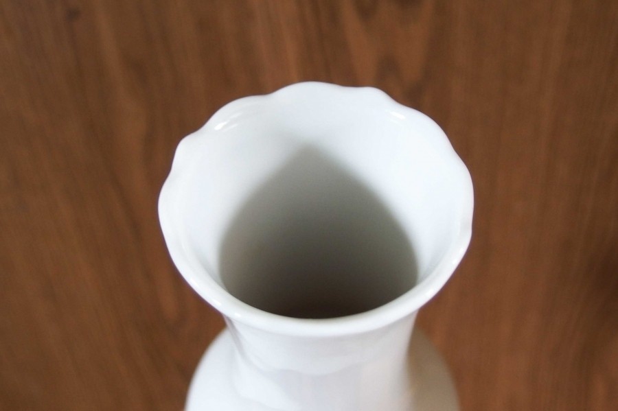 Unschöne Ränder in Vasen bekommt man sehr schnell und leicht entfernt mit Backpulver und heißem Wasser. 
