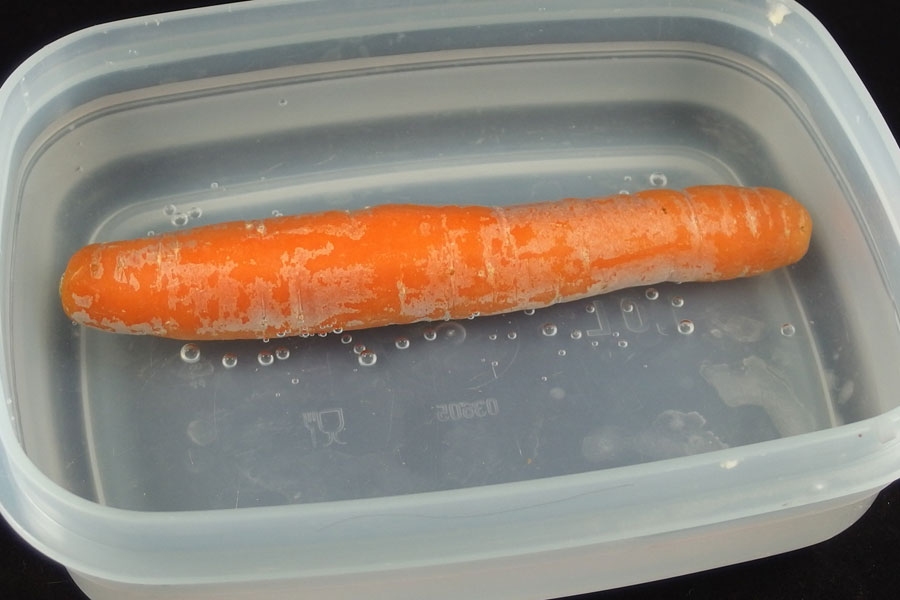 Labbrige Karotten werden wieder knackig.