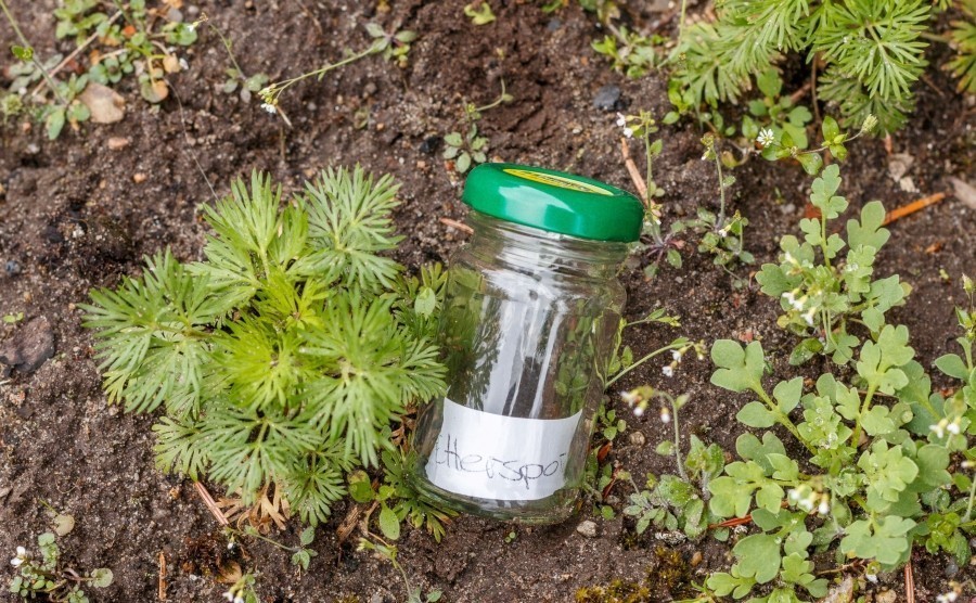 Gläser mit Schraubverschluss als Schilder für das Gemüsebeet: Einen beschrifteten Zettel hineingeben und ins Beet zu den entsprechenden Pflanzen legen.