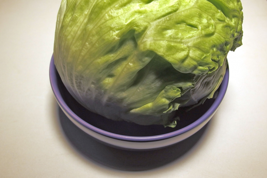 Ein Eisberg-Salatkopf kann man mithilfe einer Schüssel mit etwas Wasser sehr lange frisch halten