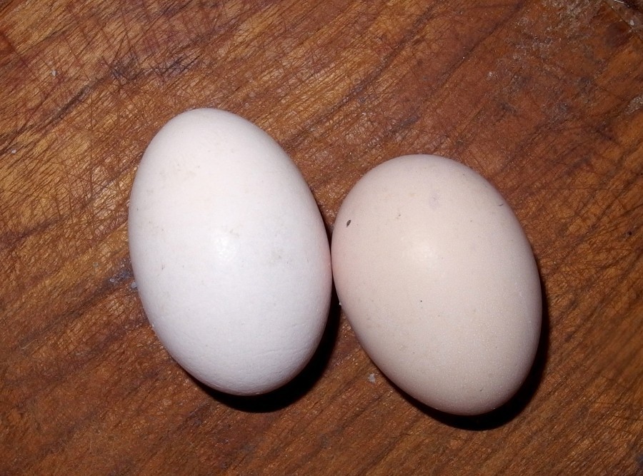 Man nehme das gekochte Ei, versetze es in Drehung und beobachte die Bewegung. Analog dazu verfährt man mit zwei "Referenz-Eiern", eines roh und eines festgekocht.