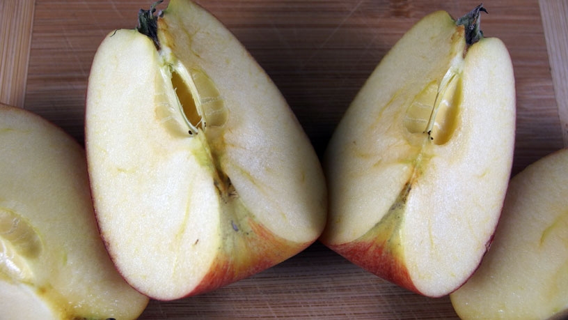Äpfel können schlaffe Gesichtshaut wieder frisch machen.