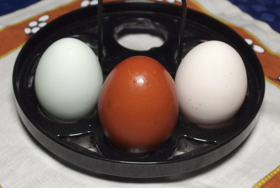 Hart gekochtes Ei mit nur zwei Handgriffen pellen - so bekommt man garantiert ein fehlerfrei gepelltes Ei.