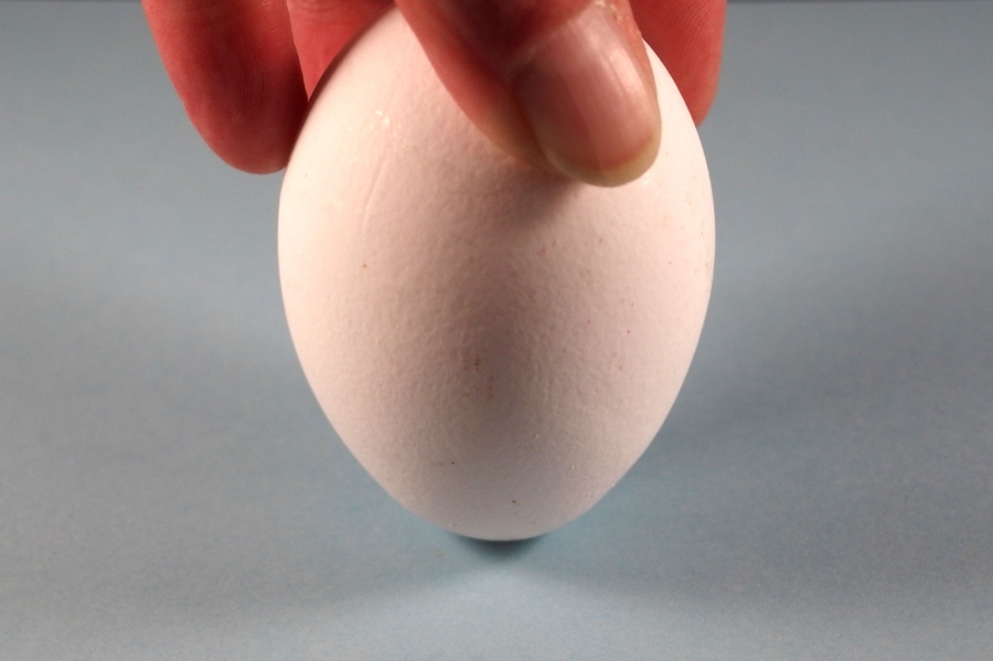 Eier sollten immer auf der spitzen Seite lagern. Die Eier bleiben dadurch länger frisch.
