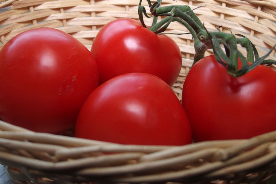 Tomaten richtig aufbewahren und länger frisch halten.