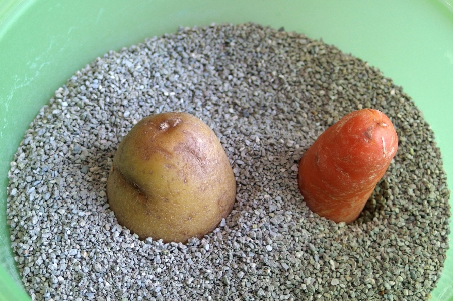 Karotten und Kartoffeln kann man monatelang in Sand aufbewahren und frischhalten.