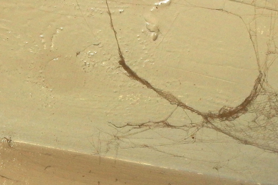 Spinnweben mit einem Klebeband hinter Schränken hervorholen und entfernen. 