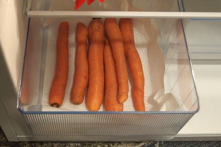 Frisches Gemüse mit Haushaltspapier im Kühlschrank. Dieses saugt die Feuchtigkeit auf, das verhindert Schimmelbildung.