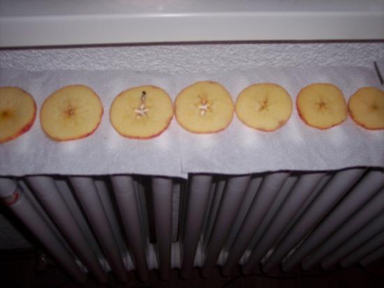 Trocknende Äpfel