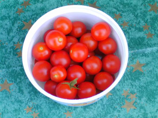Gezogene Tomaten