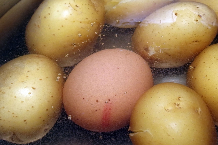 Beim Kochen von Pellkartoffeln, wenn man z. B. einen Kartoffelsalat mit Ei zubereiten möchte, kann man die Eier gleich mitkochen.