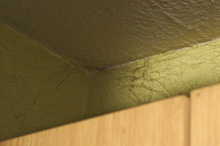 Spinnweben von sehr hohen Decken entfernen mithilfe einer Angelrute.