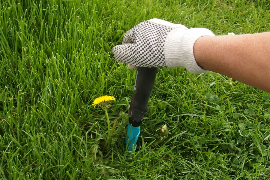 Den Handballen schonen, wenn man bei der Gartenarbeit einem Handstecher verwenden muss.