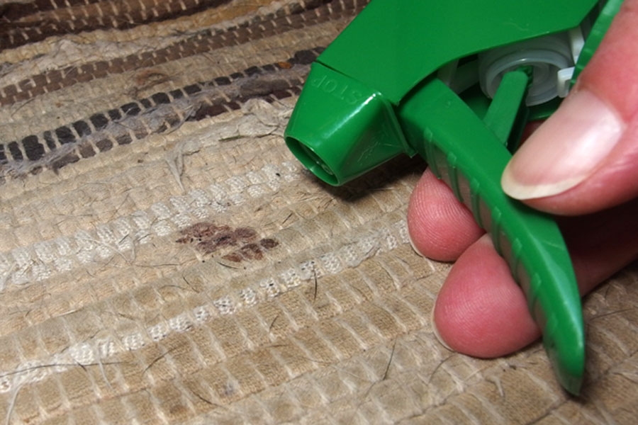 Viele Flecken im Teppich lassen sich mit Glasreiniger sehr gut entfernen.