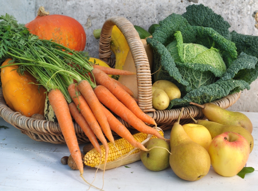 Obst und Gemüse aus dem Garten an karitative Einrichtungen spenden