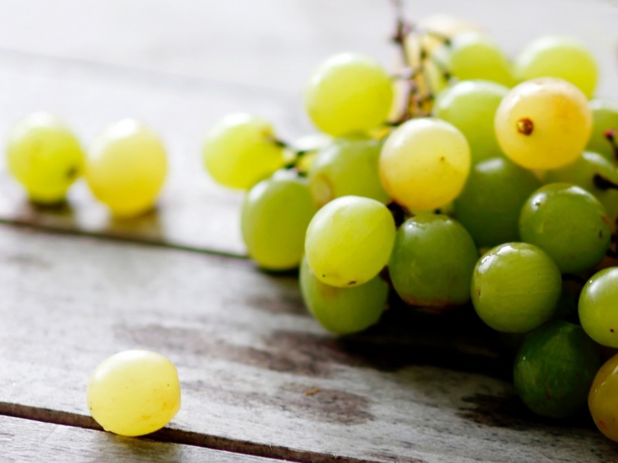 Aus Weintrauben kann man 3 unterschiedliche Sorten von Traubengelee kochen