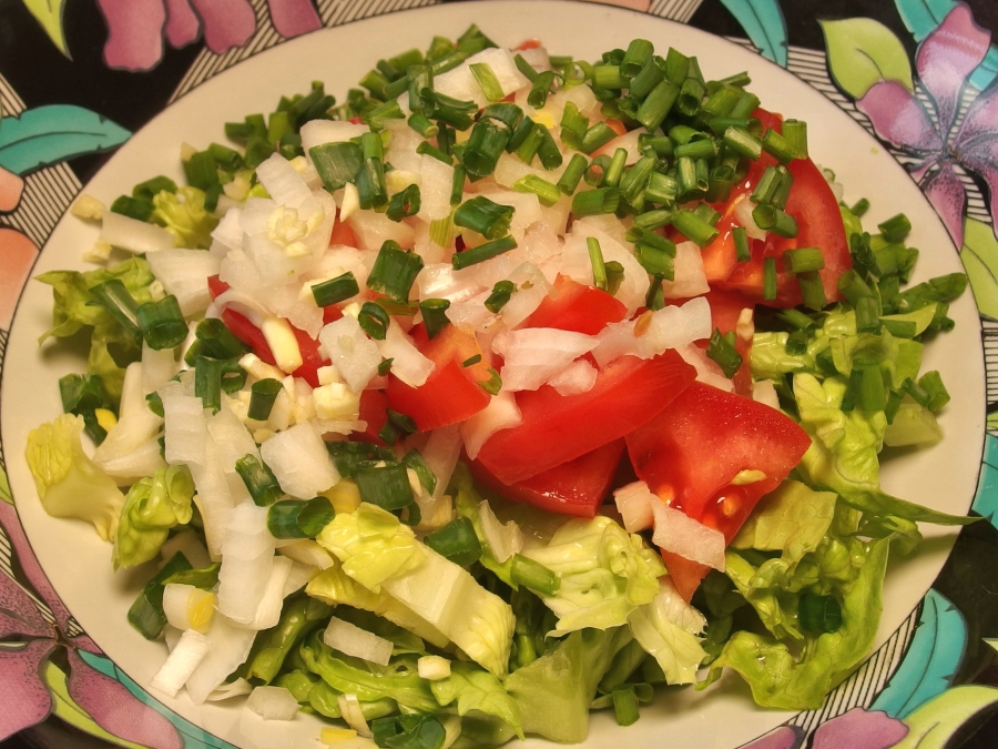 Ich esse sehr oft und viel Blattsalate aller Sorten, die eben gerade Saison haben. Um den teuren Mischsalat aus dem Supermarkt zu meiden, bereite ich eine Salatmischung für 2-3 Tage vor.