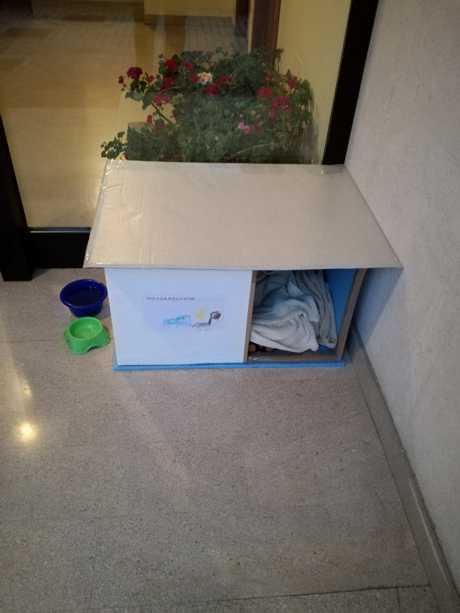 Selbst gemachte Kiste für die Katze: Nach Aufbau der Kiste, hat es 30 Sekunden gedauert und unsere Katze wechselte von der gekauften Fell-Hausvariante zu der Kiste Eigenbau!