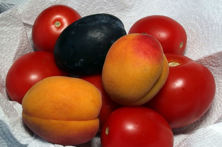 Tipps wie man frisches Obst und Gemüse günstig kauft.