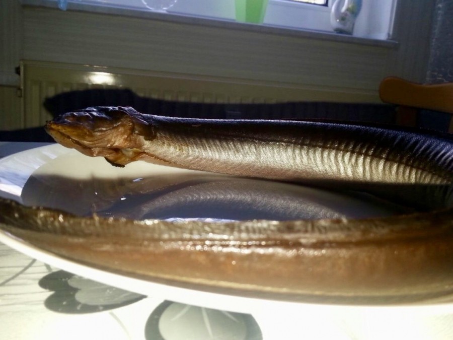 Geräucherten Aal kennen sicher viele, hier ein Rezept für frischen Aal mit Salbeisoße überzogen.