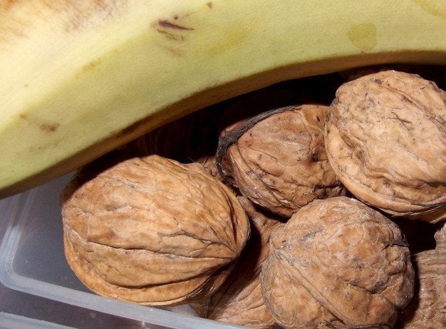 Ein leckeres Rezept für einen Bananen-Walnuss-Kastenkuchen, der sich in kurzer Zeit zubereiten lässt. Nach Belieben kann man den abgekühlten Kuchen noch mit Schokoguss überziehen.
