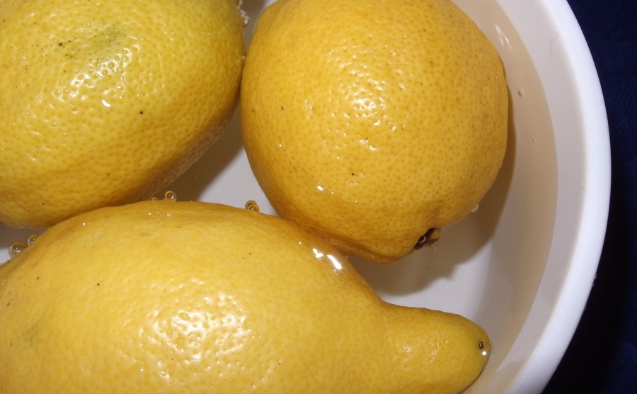 Zitronen halten ca. 4 Wochen im Kühlschrank, wenn man sie in eine Schüssel mit Wasser gibt. Das Wasser zwischendurch ab und zu austauschen.