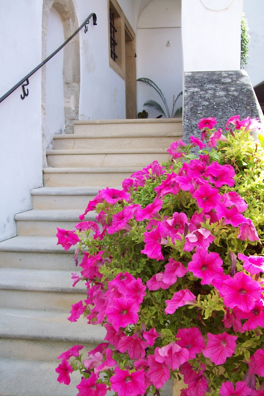 Schöne üppige Blütenpracht - ein kleiner Tipp für Neueinsteiger bei Balkonbepflanzung.
