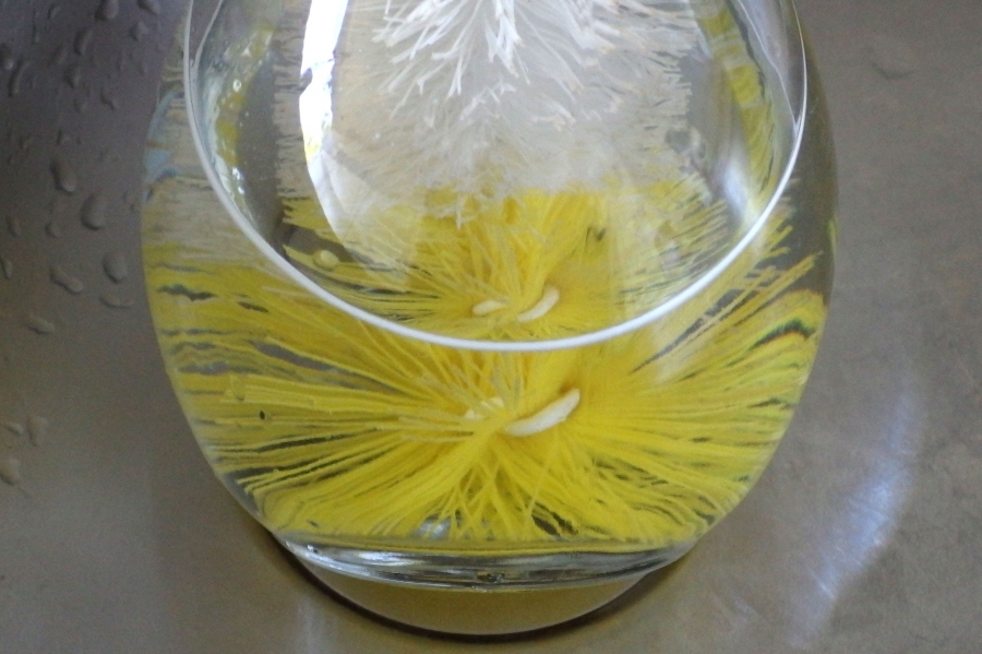 Einfach ein paar Tropfen Essig in die Vase, ca. zur Hälfte mit kaltem Wasser auffüllen, etwas umschütteln und nochmals mit kaltem Wasser nachspülen - der schlechte Geruch in der Vase ist verschwunden!
