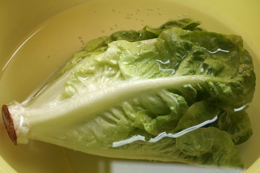  Um den Salat wieder knackig zu machen, lege ich den Salat in handwarmes, aber nicht zu warmes Wasser. Dann kann er sich wieder vollsaugen und wird wieder lecker und knackig.
