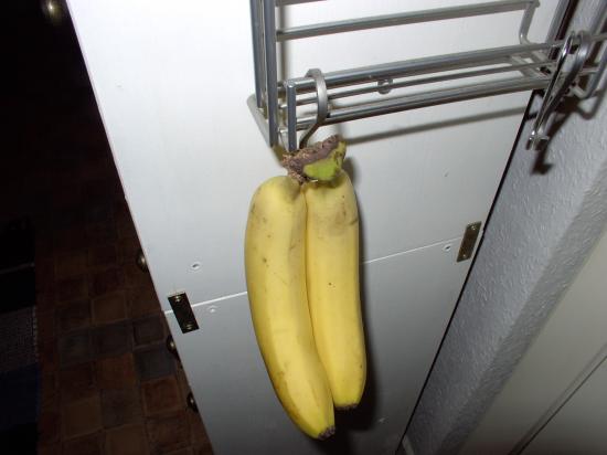 Bananen artgerecht lagern-Bananen aufhängen