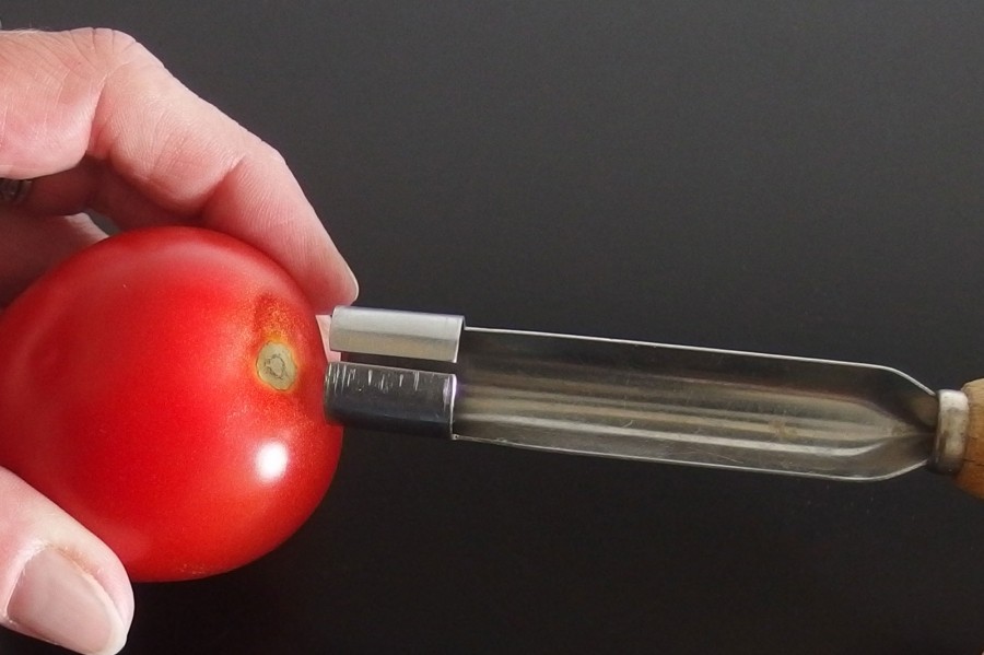 Tomatenstrunk leicht entfernen mit einem Apfelausstecher.