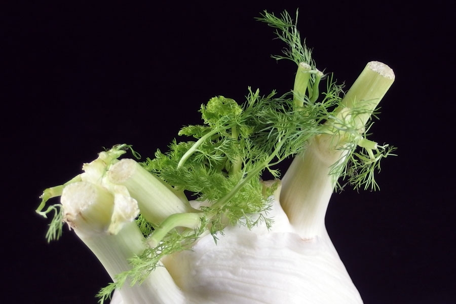 Das zarte Grün an den Radieschen und am Fenchel muss man nicht wegwerfen, sondern man kann es weiter verwenden. Klein gehackt schmeckt es in Dips, in Salaten und in Kräuterquark-Variationen sehr erfrischend.