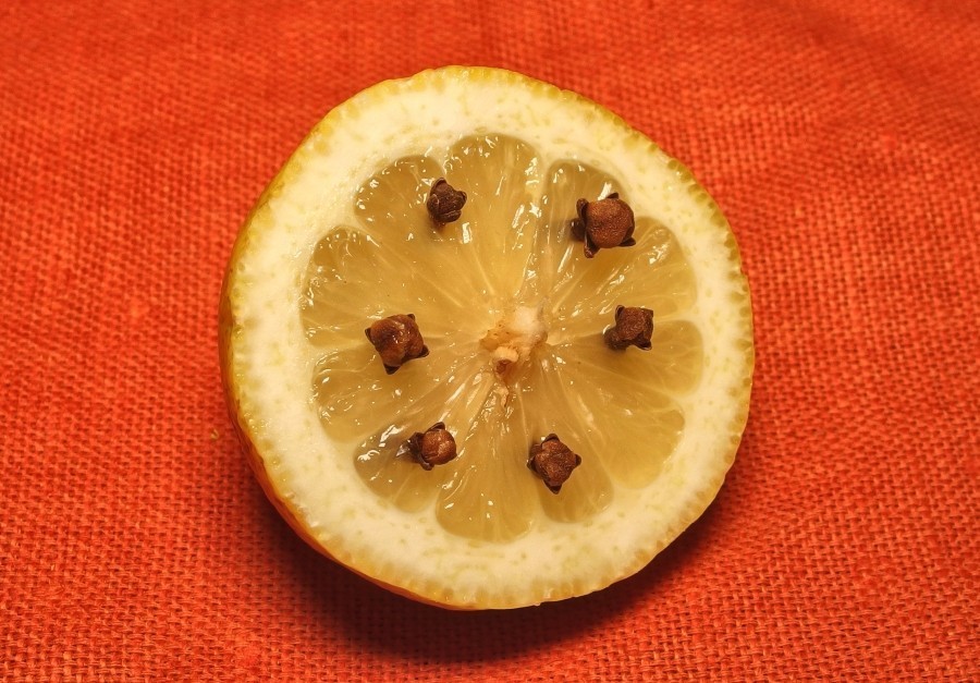 Zitronen & Nelken: Diese Gerüche sind von der Obstfliege verhasst und gleichzeitig angenehm für unsere Nasen.