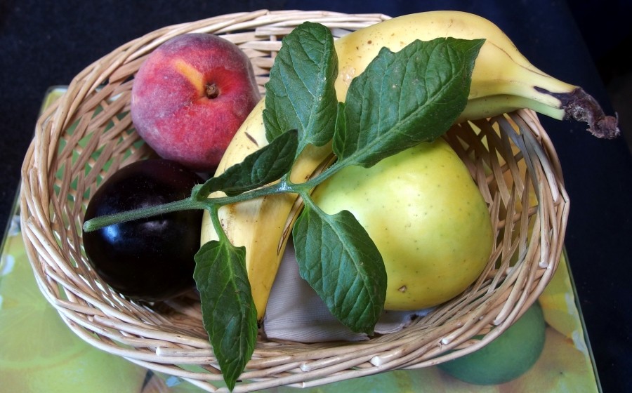 Keine Last mehr mit Fruchtfliegen mithilfe von Tomatengrün. Einfach etwas von dem Grün neben das Obst legen.