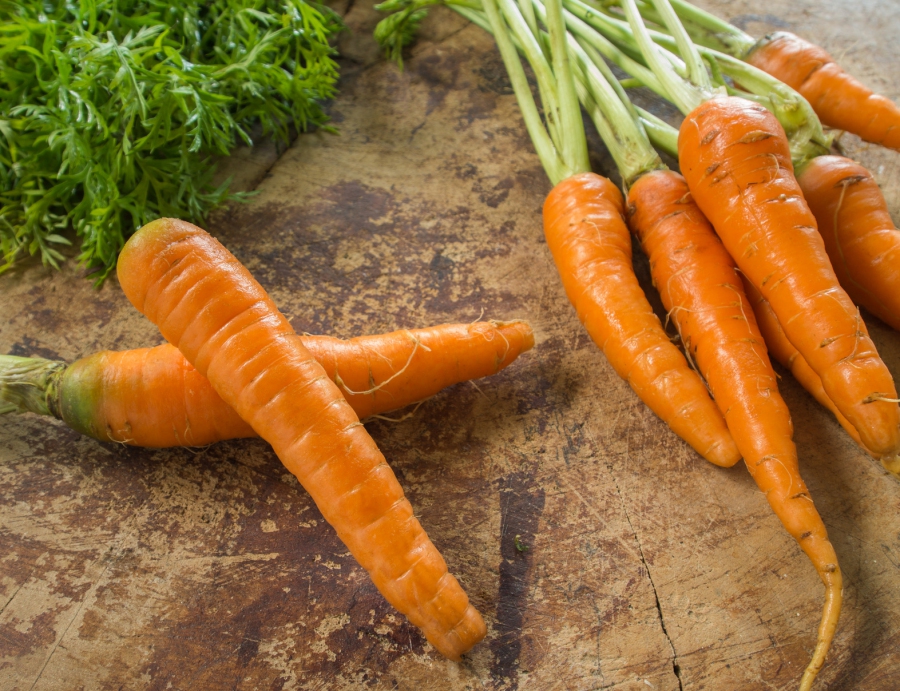 Saubere Karotten