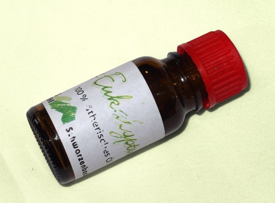 Hilft sehr gut gegen Kopfschmerzen: Schläfe mit etwas Eukalyptusöl einreiben.