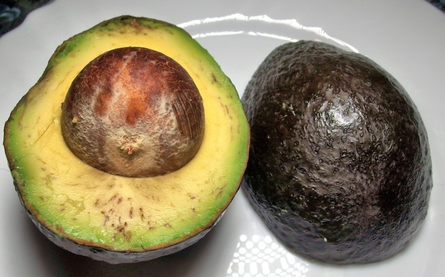 Welche Avocadosorten gibt es und wie erkennt man ob eine Avocado reif ist? Ihr erfahrt es in diesem Tipp.