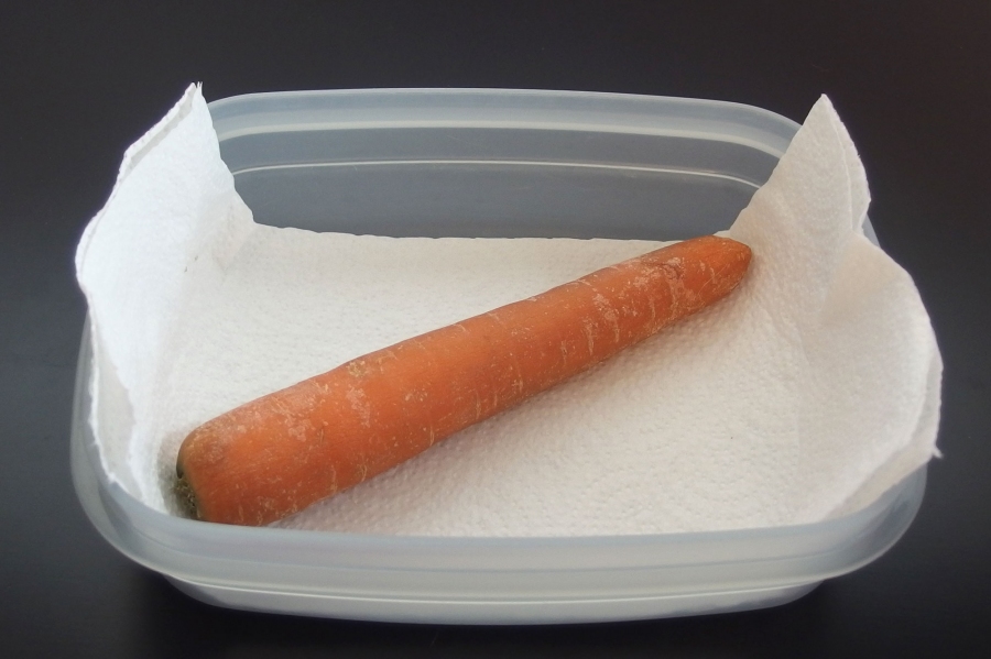 Möhren im Kühlschrank frisch halten: Dafür nehme ich eine Frischhaltedose und lege am Boden 2 Lagen Küchenpapier hinein, welches die Feuchtigkeit aus dem Gemüse aufnimmt. Deckel drauf und ab in den Kühlschrank.