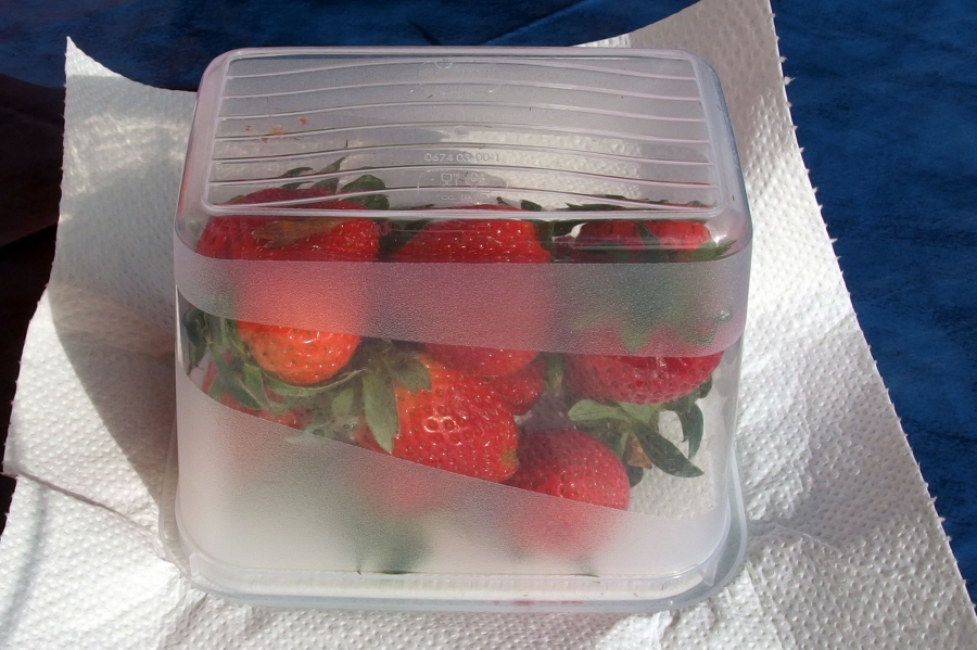Mithilfe von Zewa, Früchte vor dem Einfrieren trocknen, so kann man sie besser einfrieren.