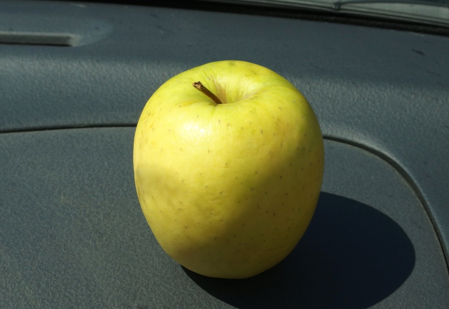 Ein Apfel vertreibt Rauchgeruch im Auto fast vollständig. Es hält ungefähr 1 Woche, dann den Apfel austauschen. 