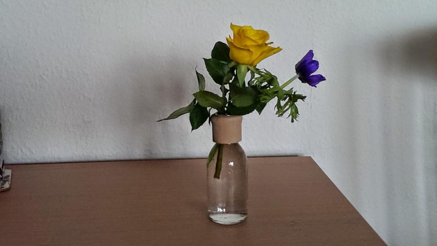 Glasflaschen Duftzerstäuber als Blumenvase nutzen 2