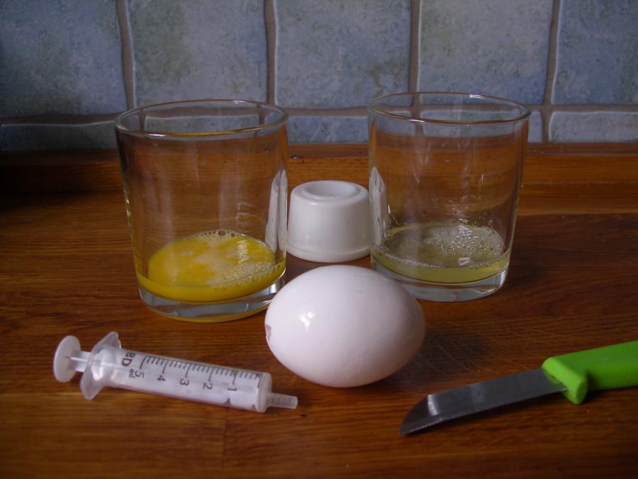 Eier mit Spritze aussaugen statt ausblasen 1