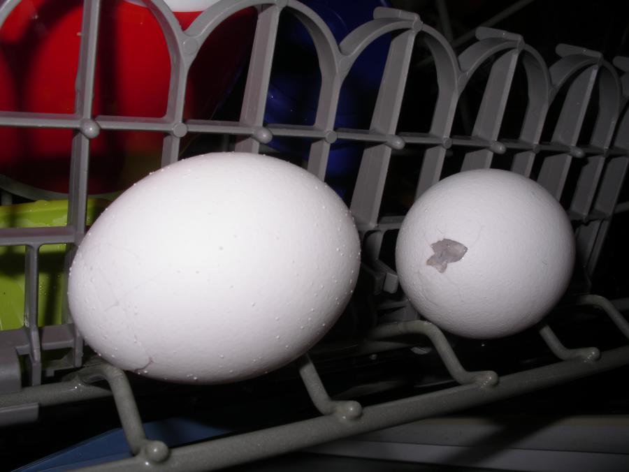 Eier mit Spritze aussaugen statt ausblasen 7