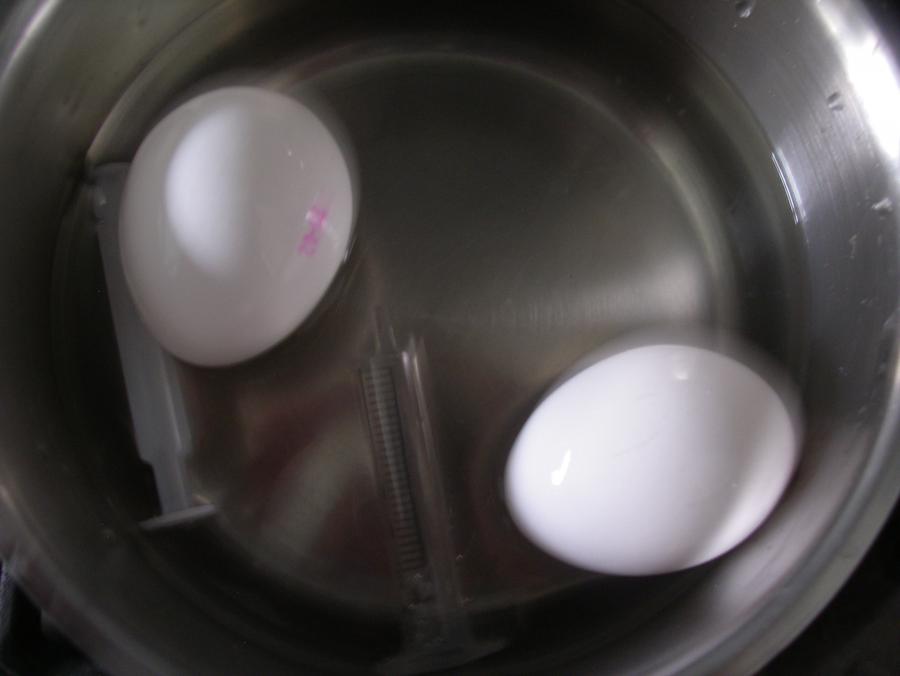 Eier mit Spritze aussaugen statt ausblasen 8