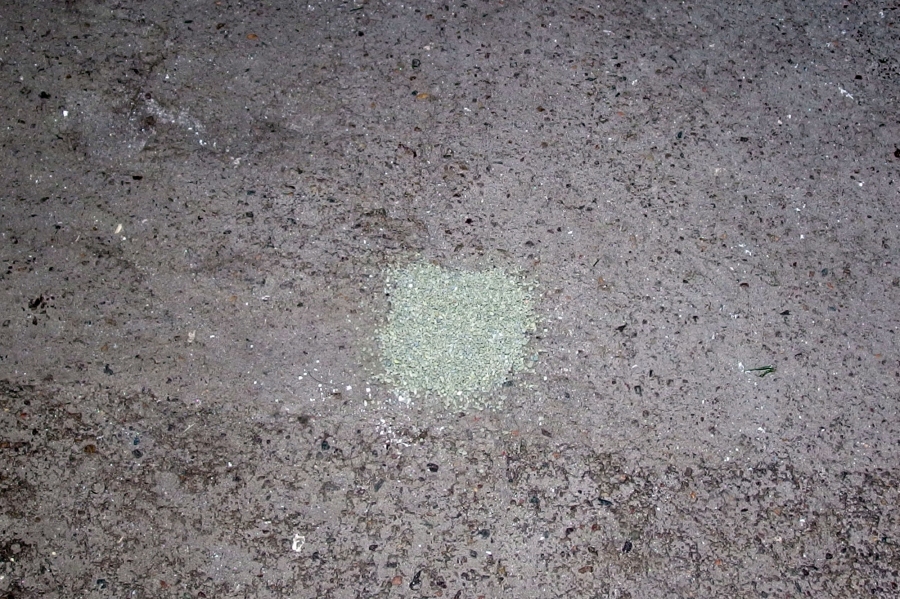 Mit Katzenstreu lassen sich Ölflecken auf Garagenboden oder Steinböden gut entfernen.
