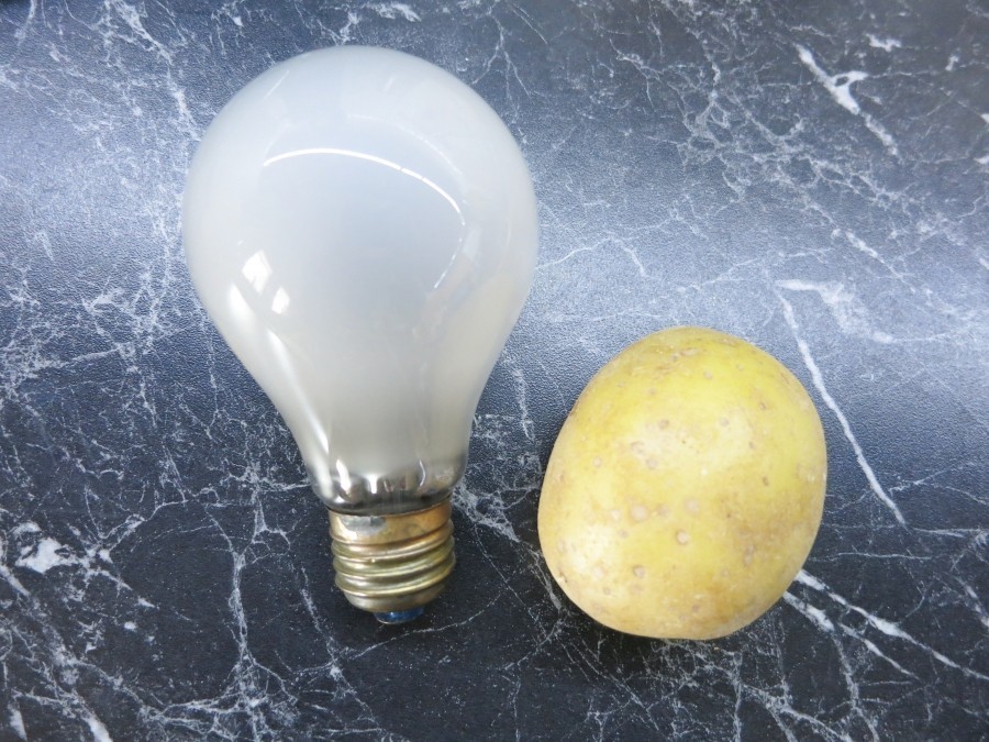 Eine zersprungene Glühbirne ohne Verletzungsgefahr aus der Fassung herausschrauben, mithilfe einer Kartoffel.