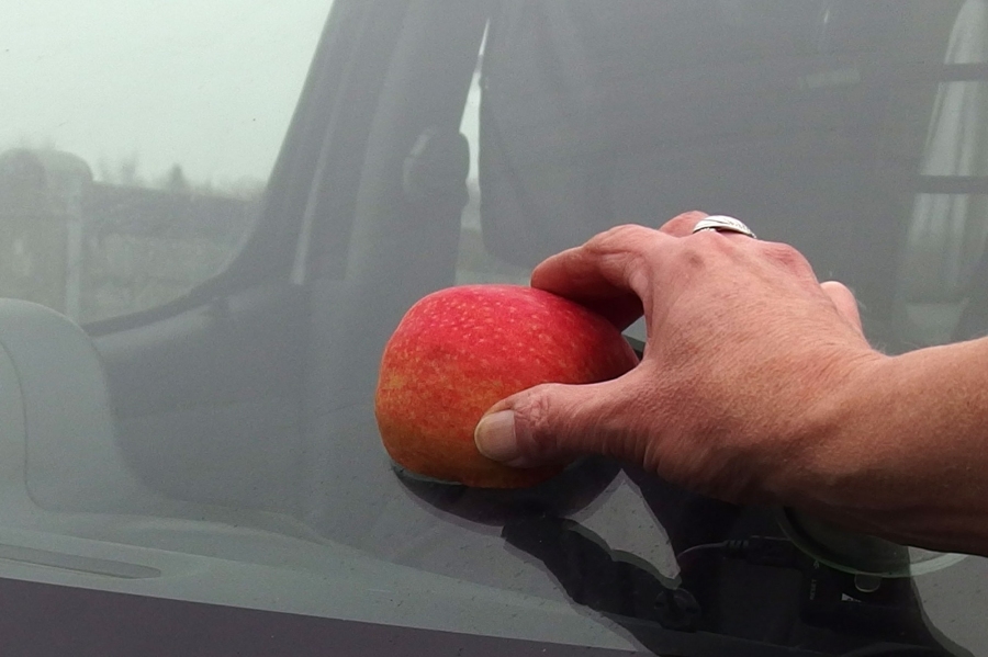 Sollte der Scheibenwischer auf der Fahrt kaputt gehen, kann man sich vorübergehend mit einem Apfel behelfen.