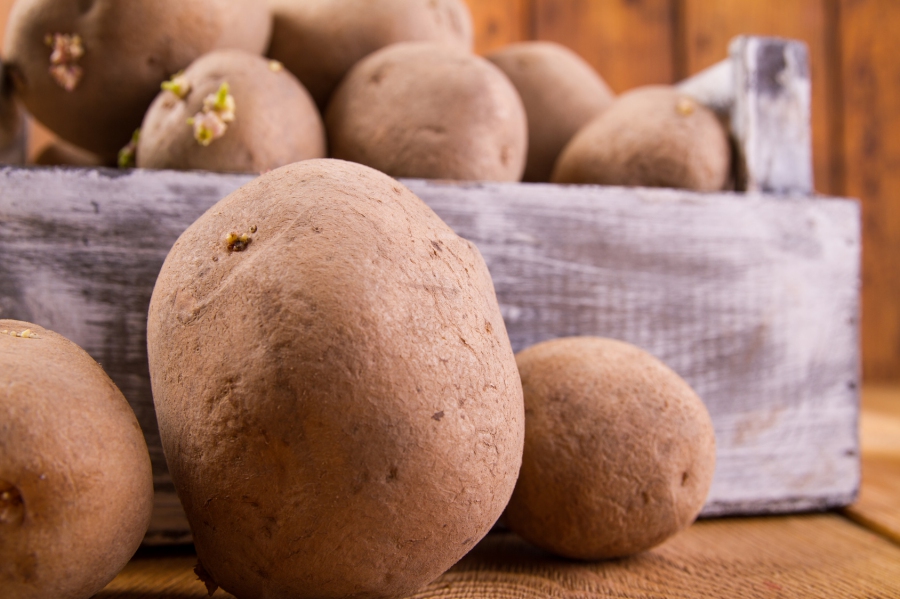 Kartoffeln sind ein wenig anspruchsvoll, was die Lagerung angeht. Doch wo und vor allem auch wie werden sie am besten gelagert?