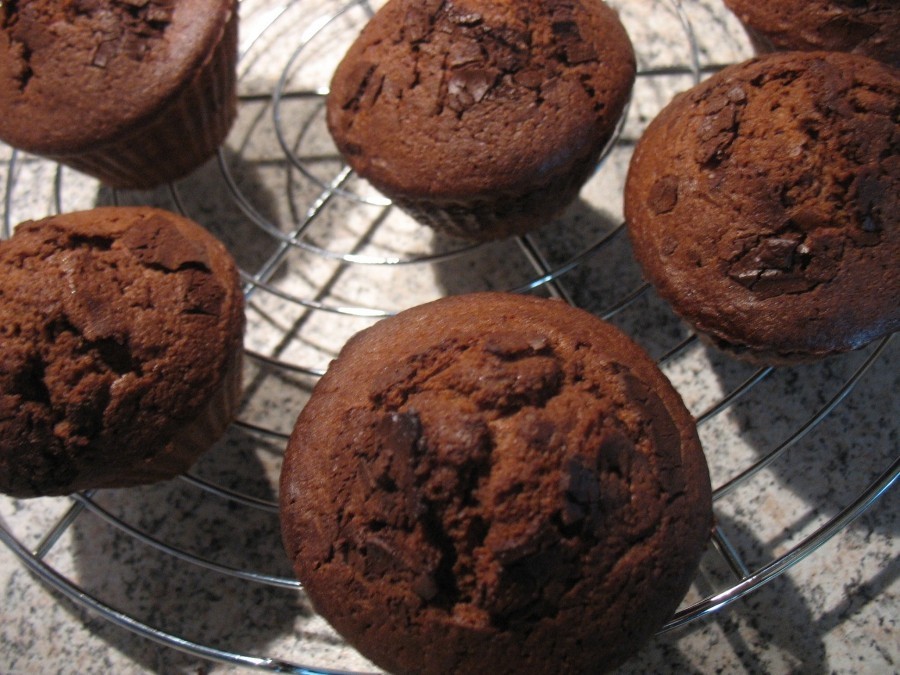 Fertig gebackene Schoko-Muffins