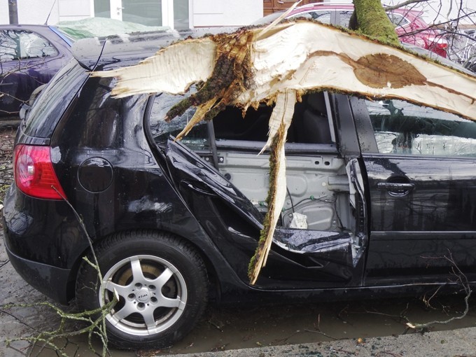 Auf einem geparkten Auto liegt ein riesiger Ast nach einem Sturm - wie verhält man sich richtig? 